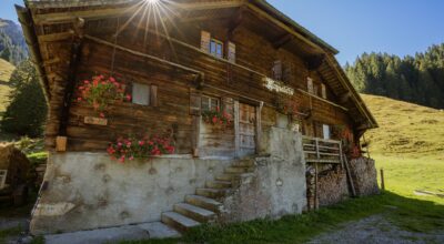 Lavorare in AGRICOLTURA nella Svizzera Tedesca, con vitto e alloggio – per persone tra 22 e 36 anni