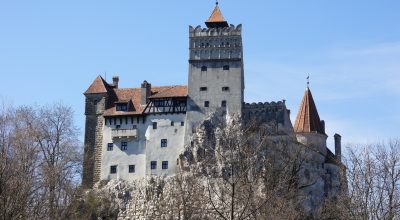 Scambieuropei cerca 4 giovani per TRAINING COURSE, dal 26 novembre al 6 dicembre 2026, in Romania